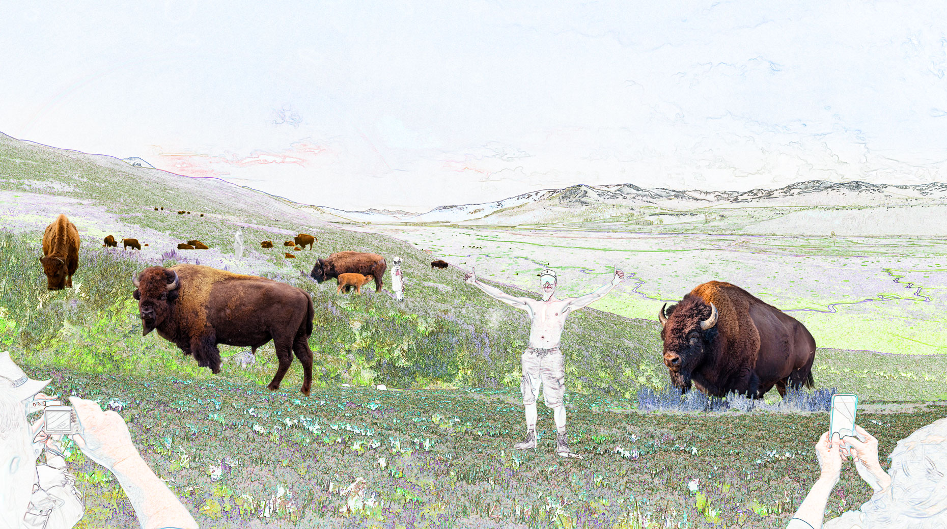 Regenbogen über saftig grünem Lamar Valley mit Bison Herde im Yellowstone Nationalpark, Wyoming