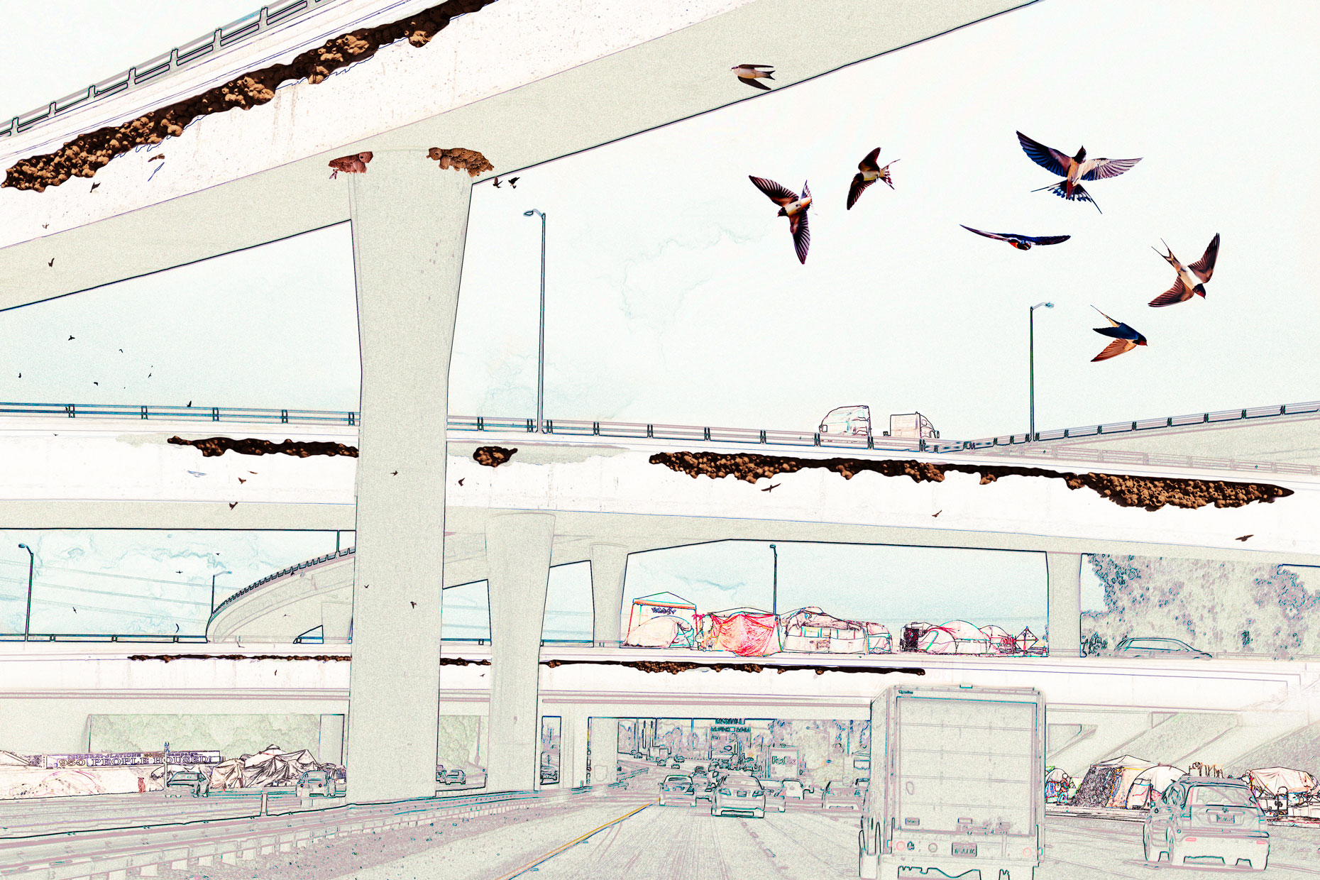 TiaMagallon_Nesting